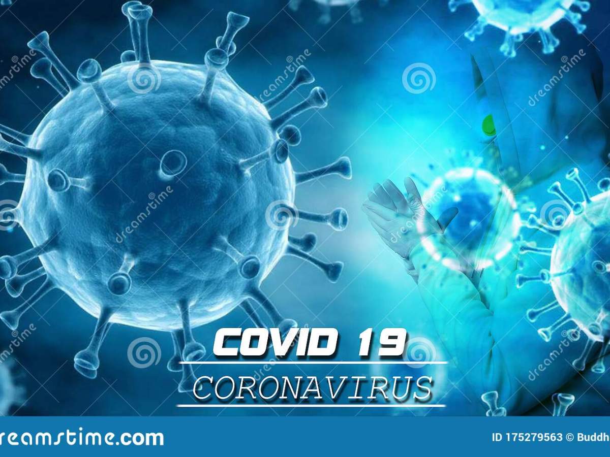 How Did You React to the&nbsp;COVID-19?